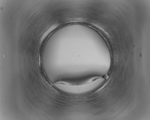 X0000075841317200610151535