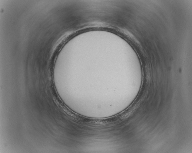 X0000075841318200610151535