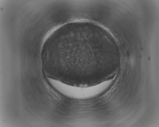 X0000075841319200610151535