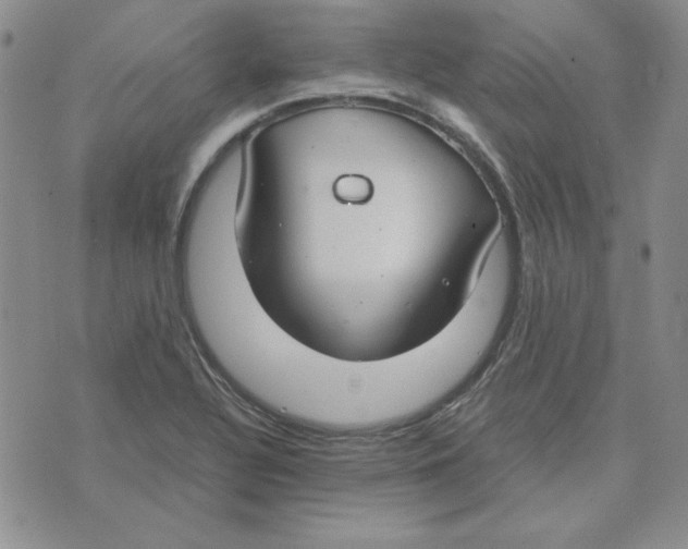 X0000075841320200610151535