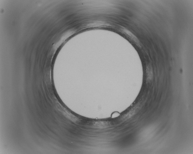 X0000075841322200610151535