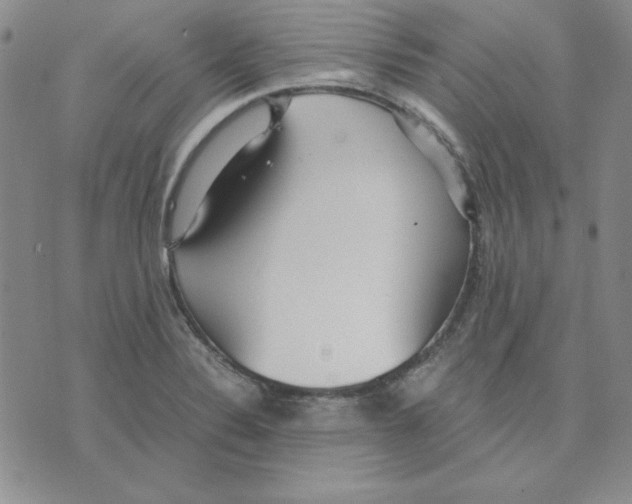 X0000075841324200610151535