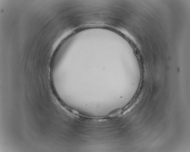 X0000075841325200610151535