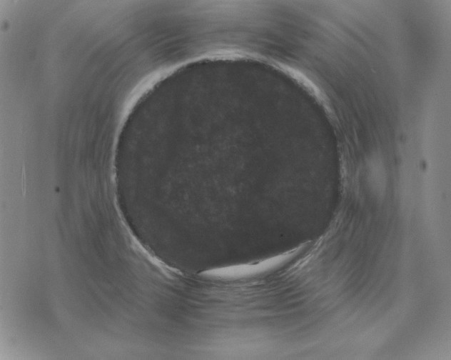 X0000075841327200610151535