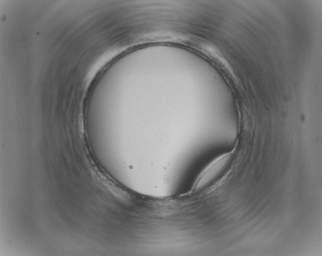 X0000075841328200610151535