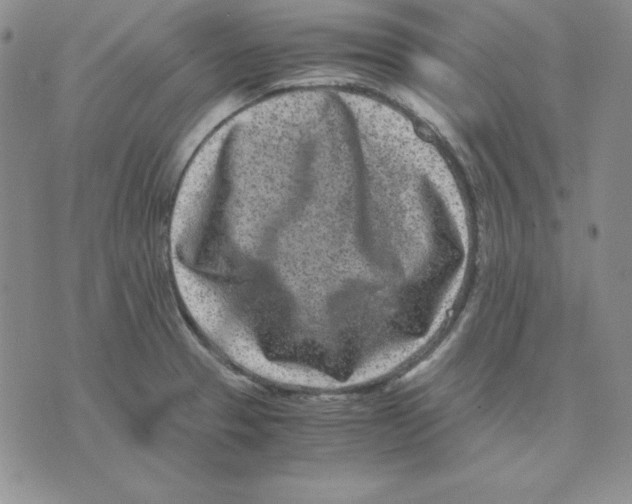 X0000075841329200610151535