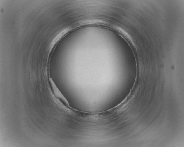 X0000075841330200610151535