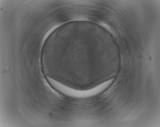 X0000075841331200610151535