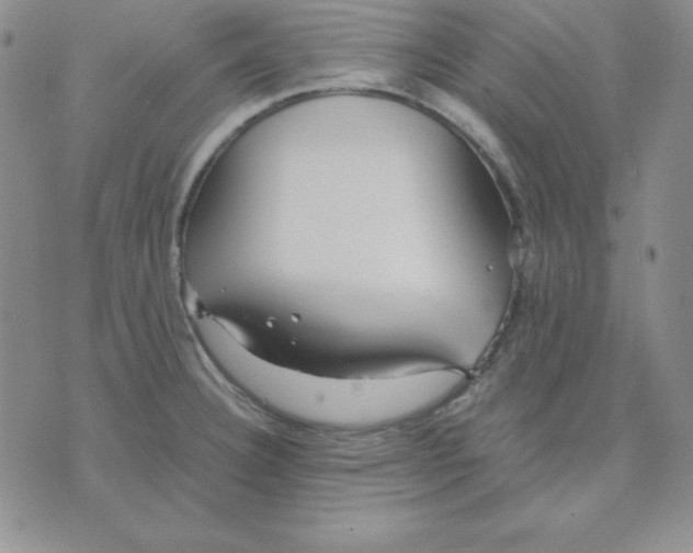 X0000075841332200610151535