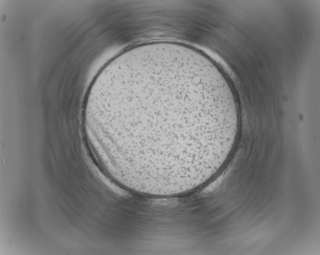 X0000075841333200610151535