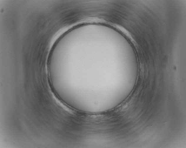 X0000075841335200610151535