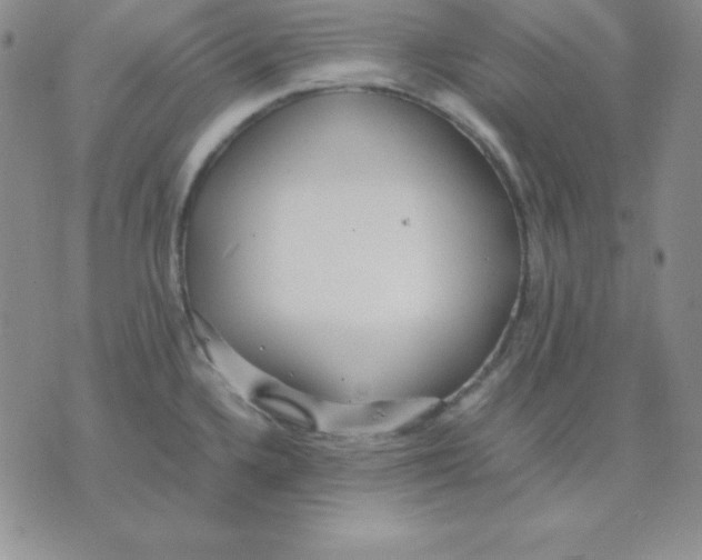 X0000075841336200610151535