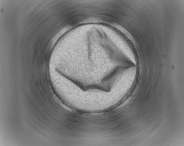 X0000075841337200610151535