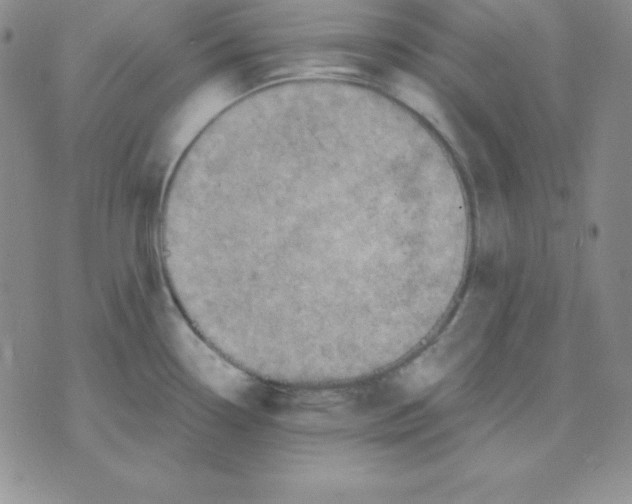 X0000075841338200610151535