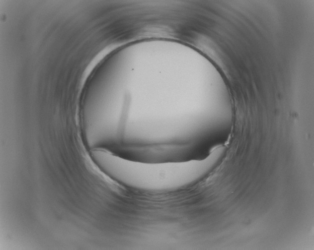 X0000075841339200610151535