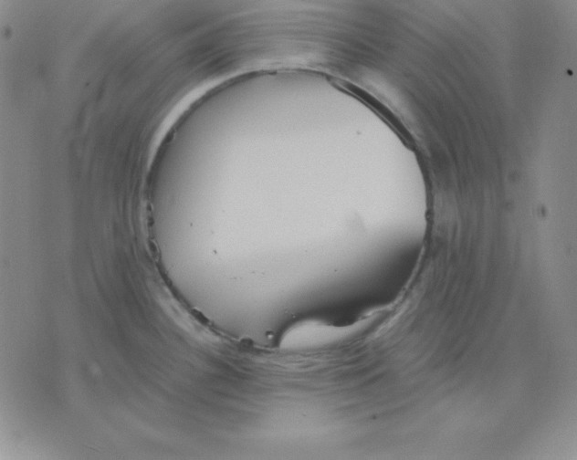 X0000075841340200610151535