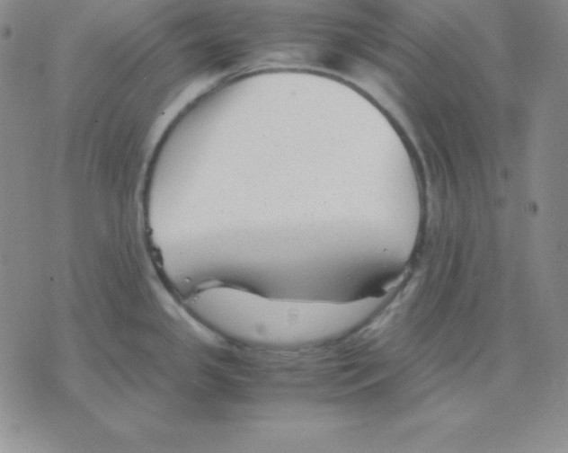 X0000075841341200610151535