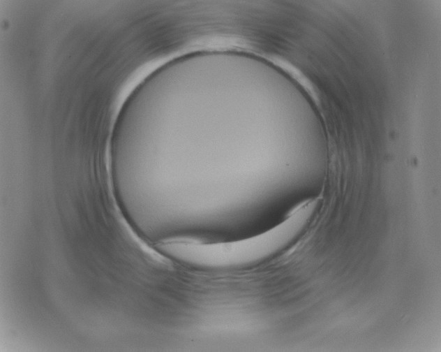 X0000075841343200610151535