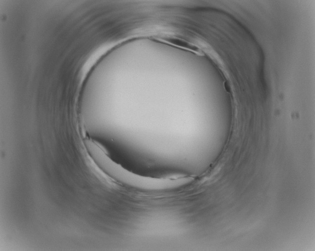 X0000075841344200610151535