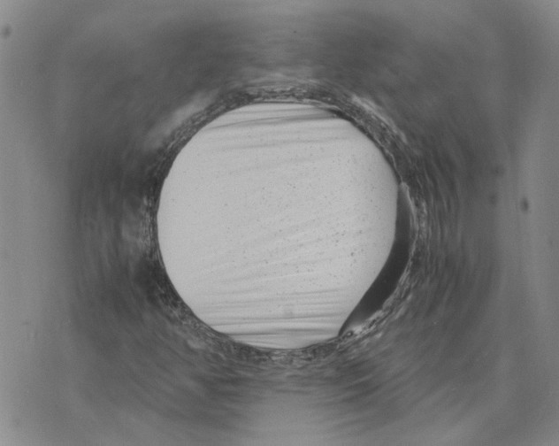 X0000075841350200610151535