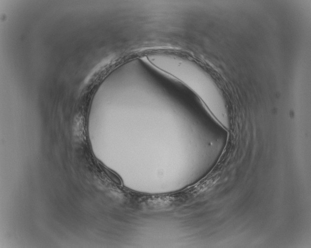 X0000075841351200610151535