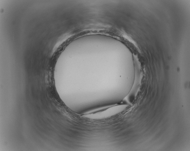 X0000075841352200610151535