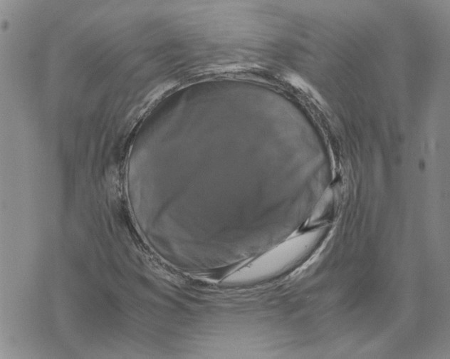 X0000075841353200610151535