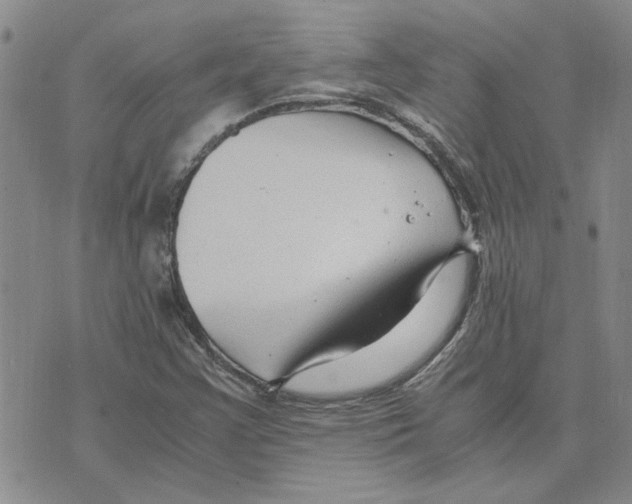 X0000075841355200610151534