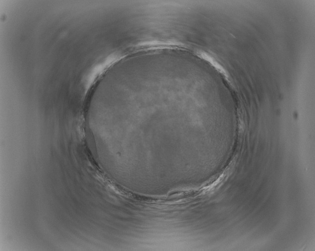 X0000075841357200610151534