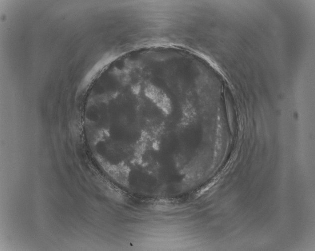 X0000075841359200610151534