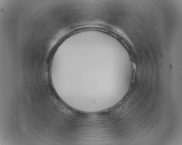 X0000075841360200610151534