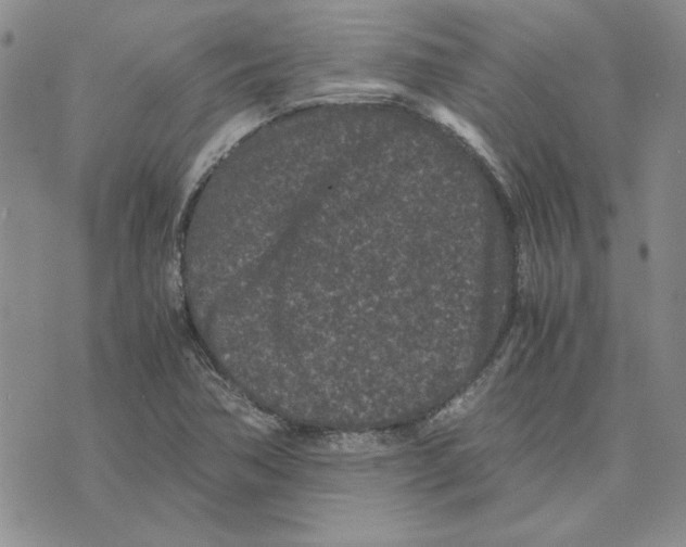 X0000075841362200610151534