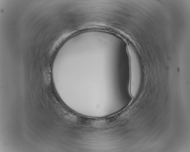 X0000075841363200610151534