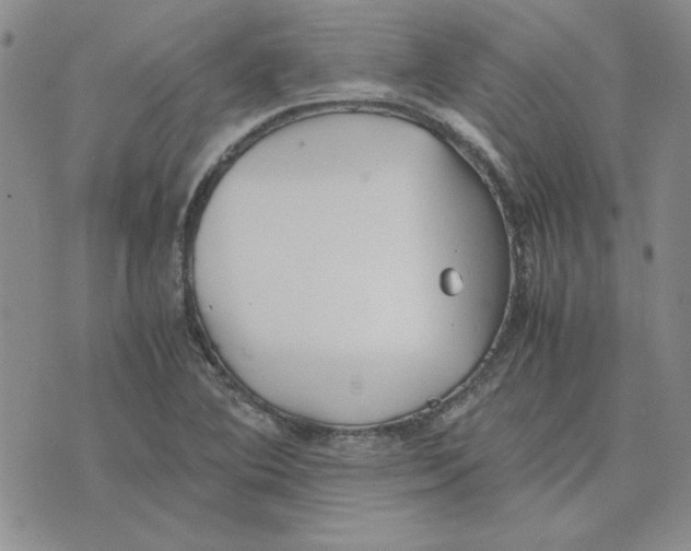 X0000075841364200610151534