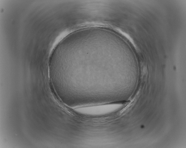 X0000075841365200610151534