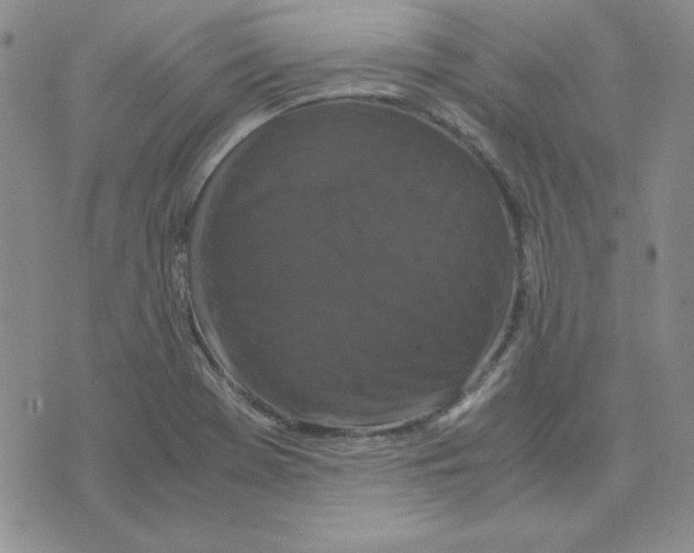 X0000075841369200610151534