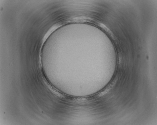 X0000075841370200610151534