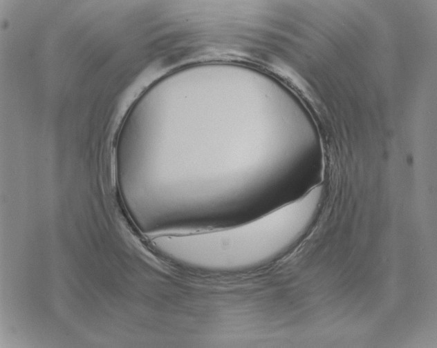 X0000075841371200610151534