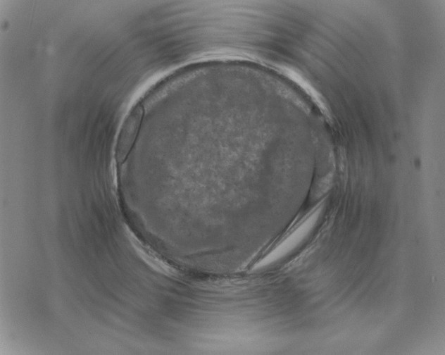 X0000075841372200610151534