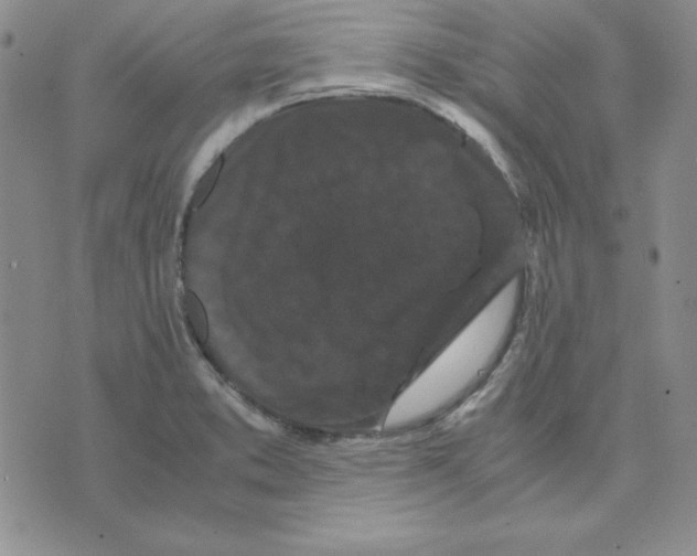 X0000075841373200610151534