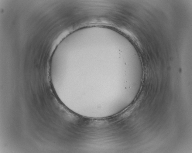 X0000075841374200610151534