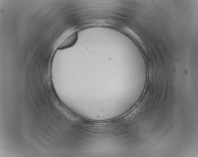 X0000075841378200610151534