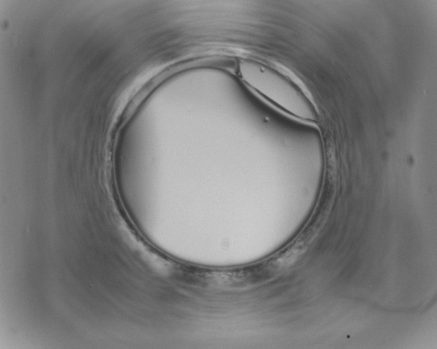 X0000075841379200610151534