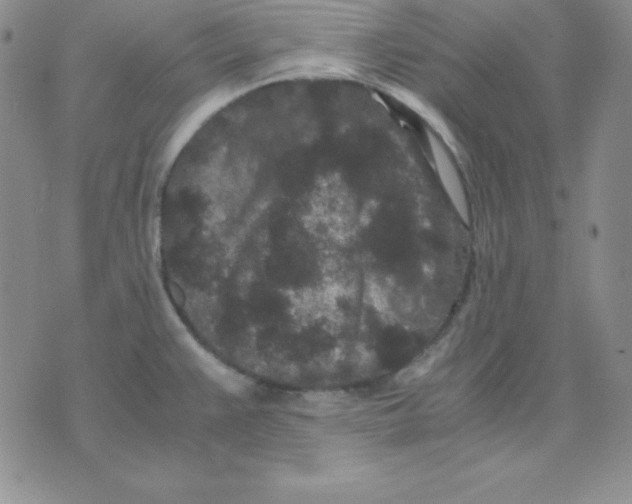 X0000075841383200610151534