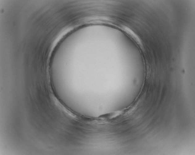 X0000075841384200610151534