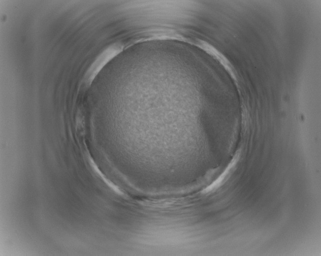 X0000075841385200610151534