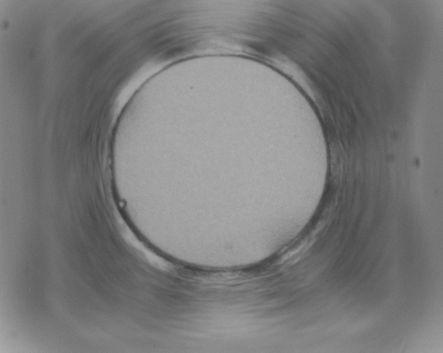 X0000075841387200610151534