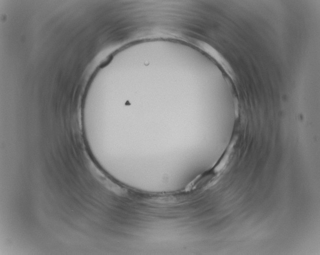 X0000075841388200610151534