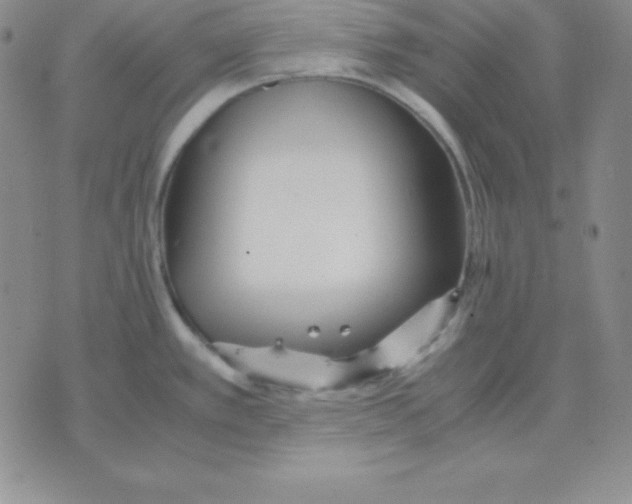 X0000075841389200610151534