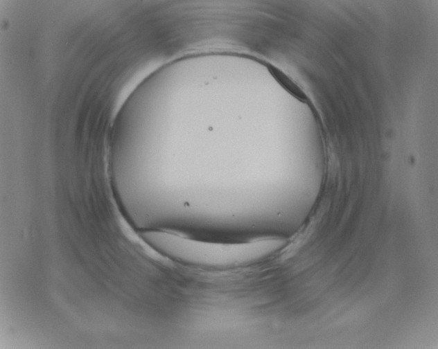 X0000075841390200610151534